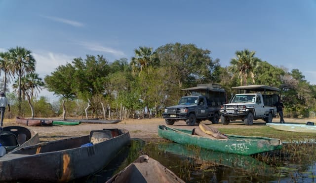 Wildlife Tour